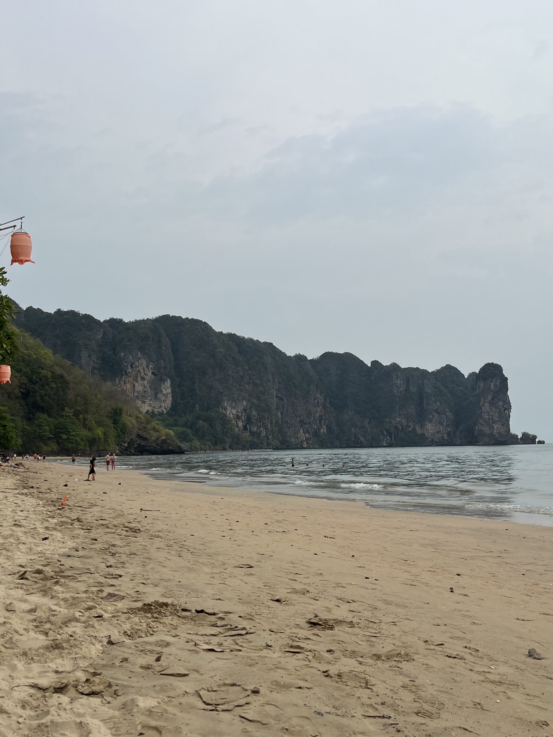 Blog Nr. 6: Unfreiwillige Pause: Zwischen Krankenzimmer und Erkenntnis